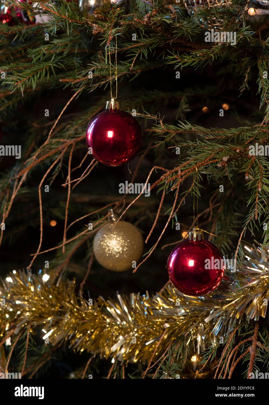 Imagen vertical de un árbol de Navidad regado con agujas de pino caído  desprendiéndose de las ramas con decoraciones. Y tinsel, copiar espacio en  el fondo Fotografía de stock - Alamy