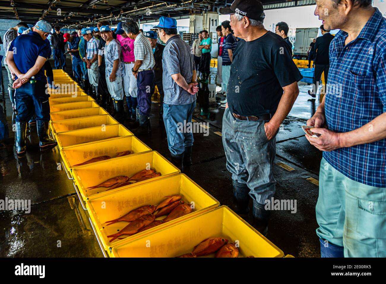 Subasta de pescado en Yaidu, Japón Foto de stock