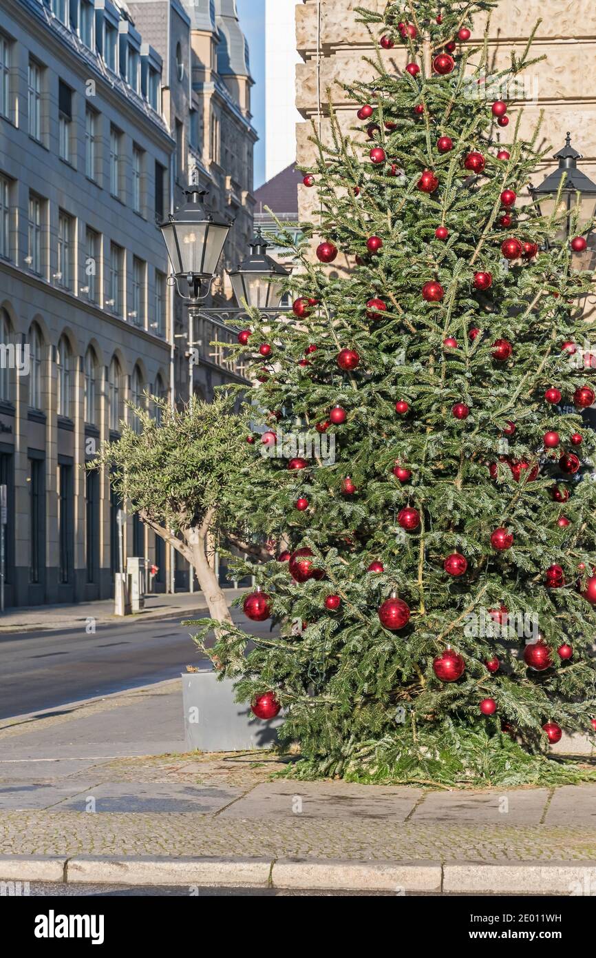 Berlín, Alemania - 18 de diciembre de 2020: Árbol de Navidad decorado con bolas rojas en la calle Behrenstrasse esquina Charlottenstrasse Foto de stock