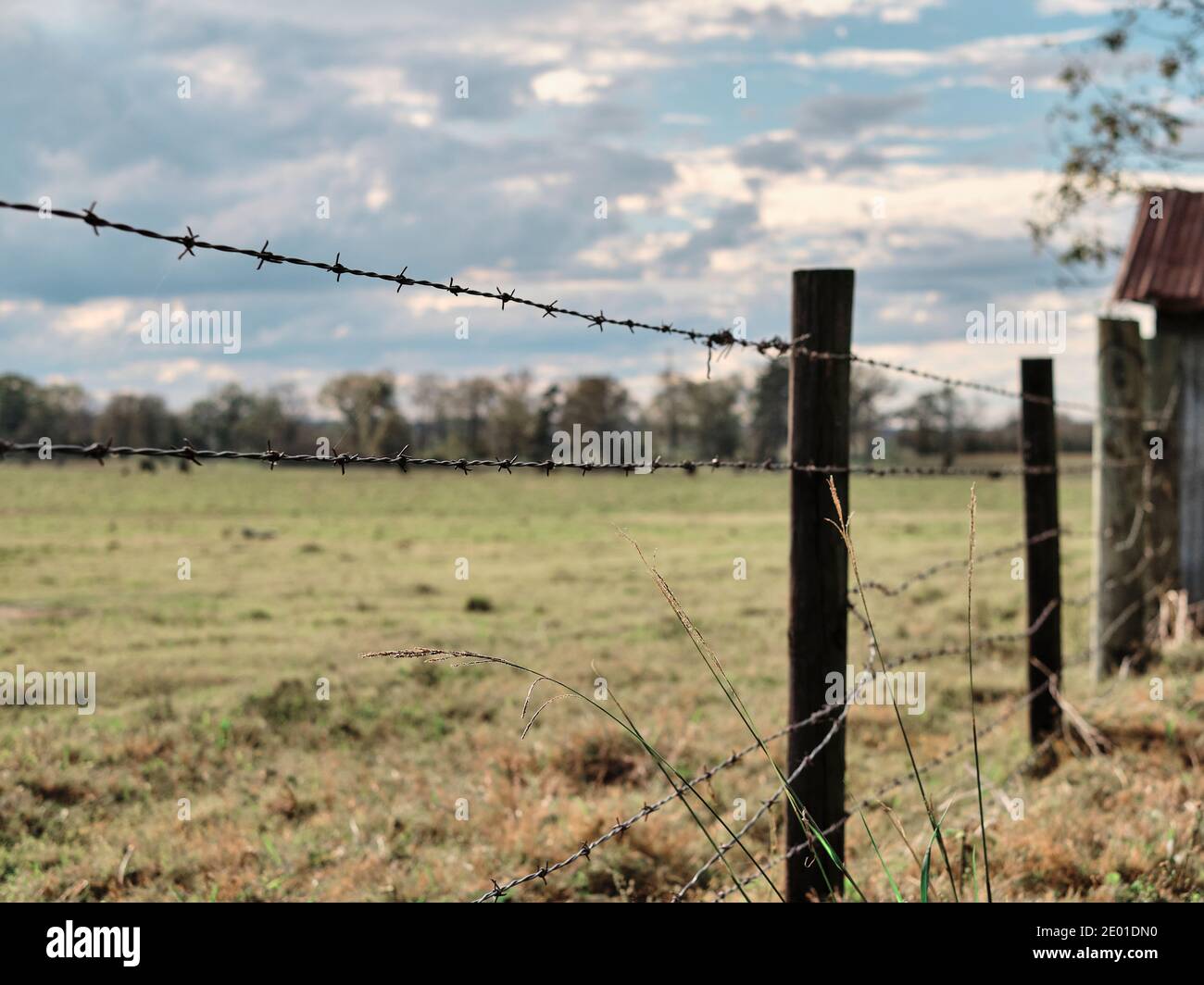 Valla de alambre de púas, cercado de un pasto en una granja o rancho para confinar ganado en Alabama, Estados Unidos. Foto de stock