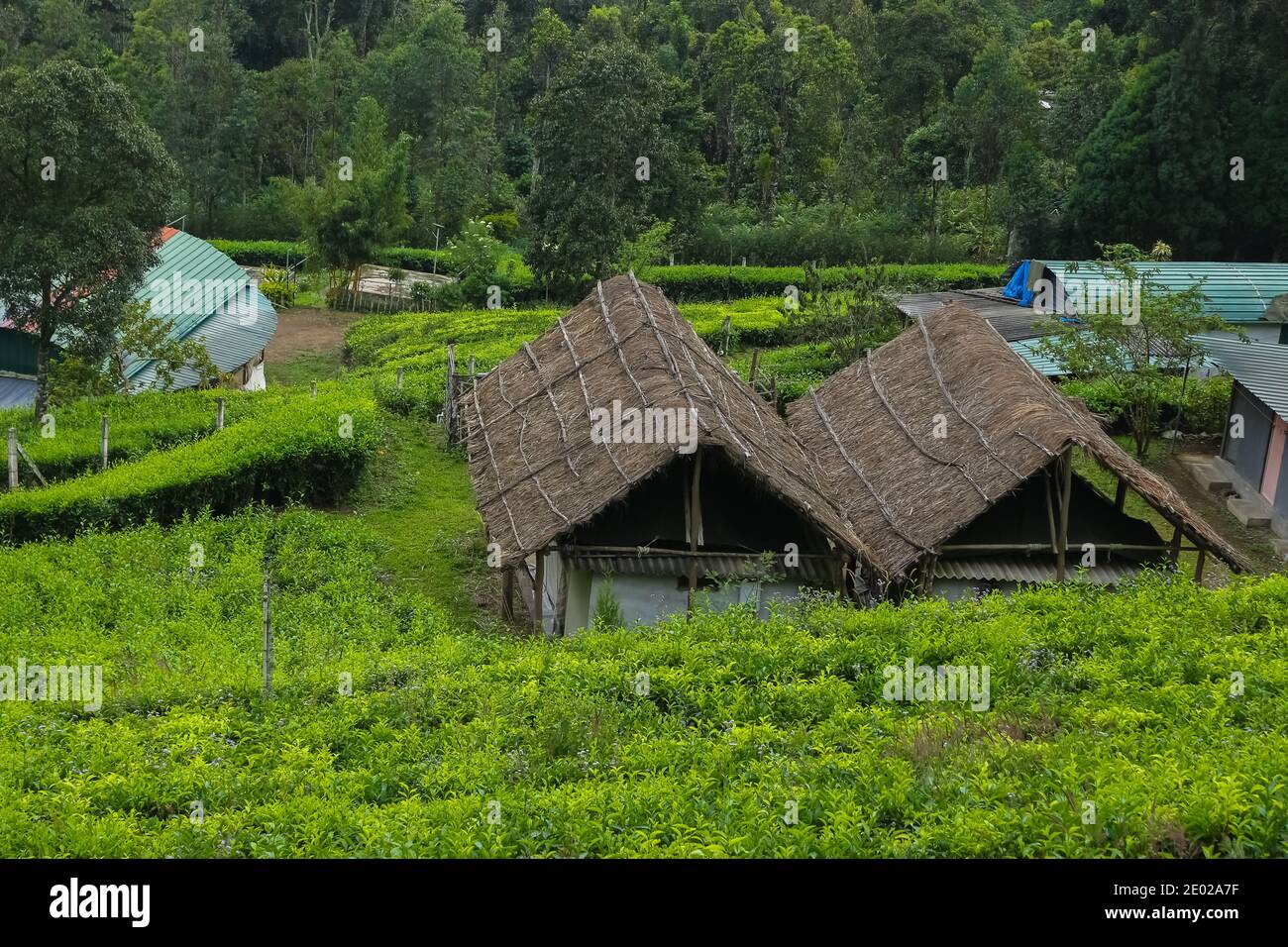 Hermosa casa de estancia Villa situado en el centro de la plantación de té en Munnar, Kerala, India. Turismo de estancia en casa. Foto de stock