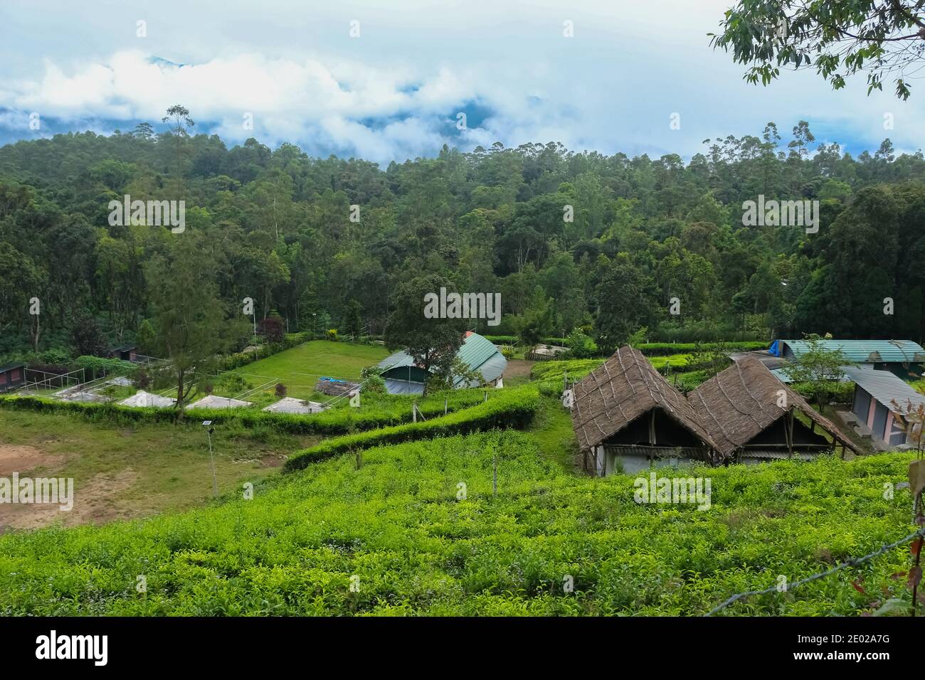 Hermosa casa de estancia Villa situado en el centro de la plantación de té en Munnar, Kerala, India. Turismo de estancia en casa. Foto de stock