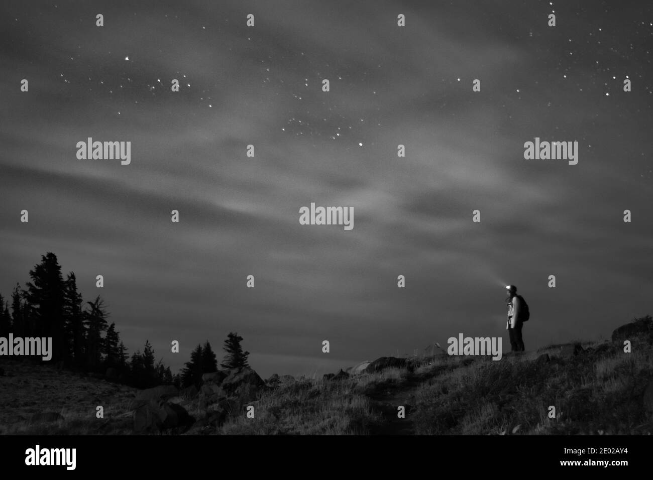Megan Lee mira hacia las estrellas, ligeramente oscurecida por la noche turbia Foto de stock