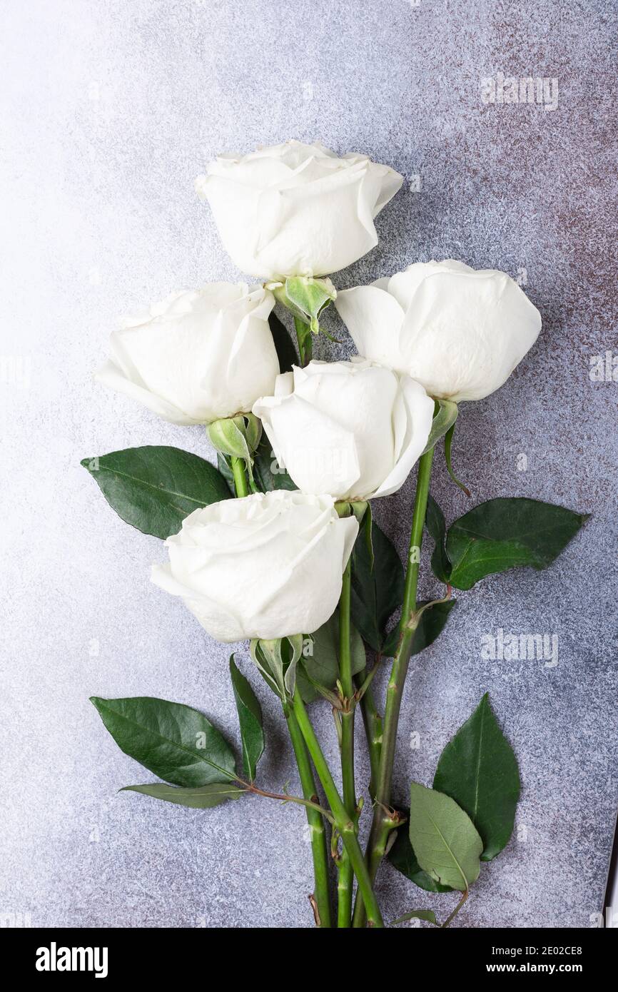 Flores color rosa blanca ramo sobre piedra gris claro fondo romántico Tarjeta de felicitación espacio de copia Lay plano Fotografía de stock - Alamy Flores color rosa blanca ramo sobre piedra gris claro fondo romántico Tarjeta de felicitación espacio de copia Lay plano Fotografía de stock - Alamy