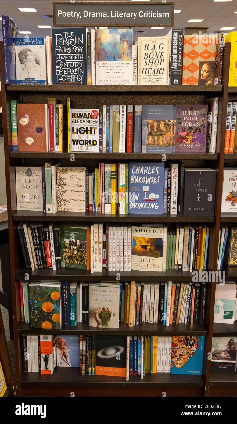 Libros de poesía, drama y crítica literaria en estanterías, Barnes and  Noble, EE.UU Fotografía de stock - Alamy