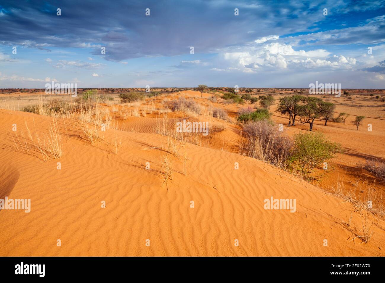 Paisaje desértico cerca de Kalkrand, Cuenca del Kalahari, Namibia Foto de stock