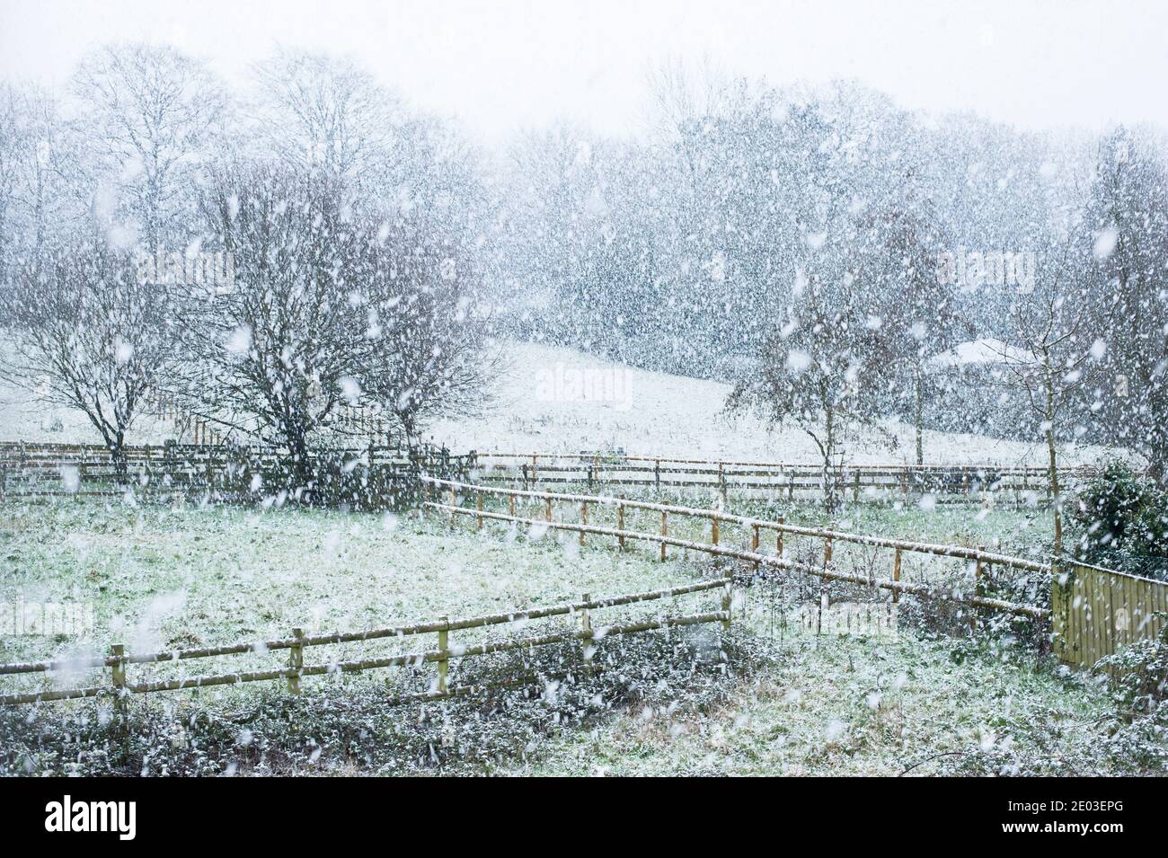 Nieve cayendo sobre los campos en las laderas bajas de Robinswood Hill Country Park en Gloucester, Inglaterra, Reino Unido Foto de stock