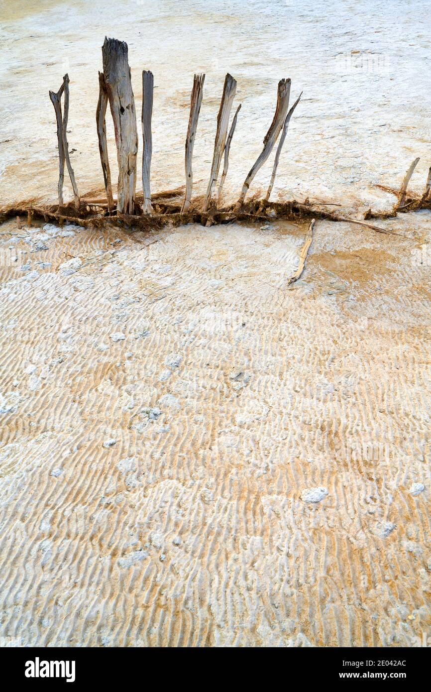 Estos últimos restos de una antigua valla de madera a orillas del Coorong en el sudeste de Australia Meridional. Foto de stock