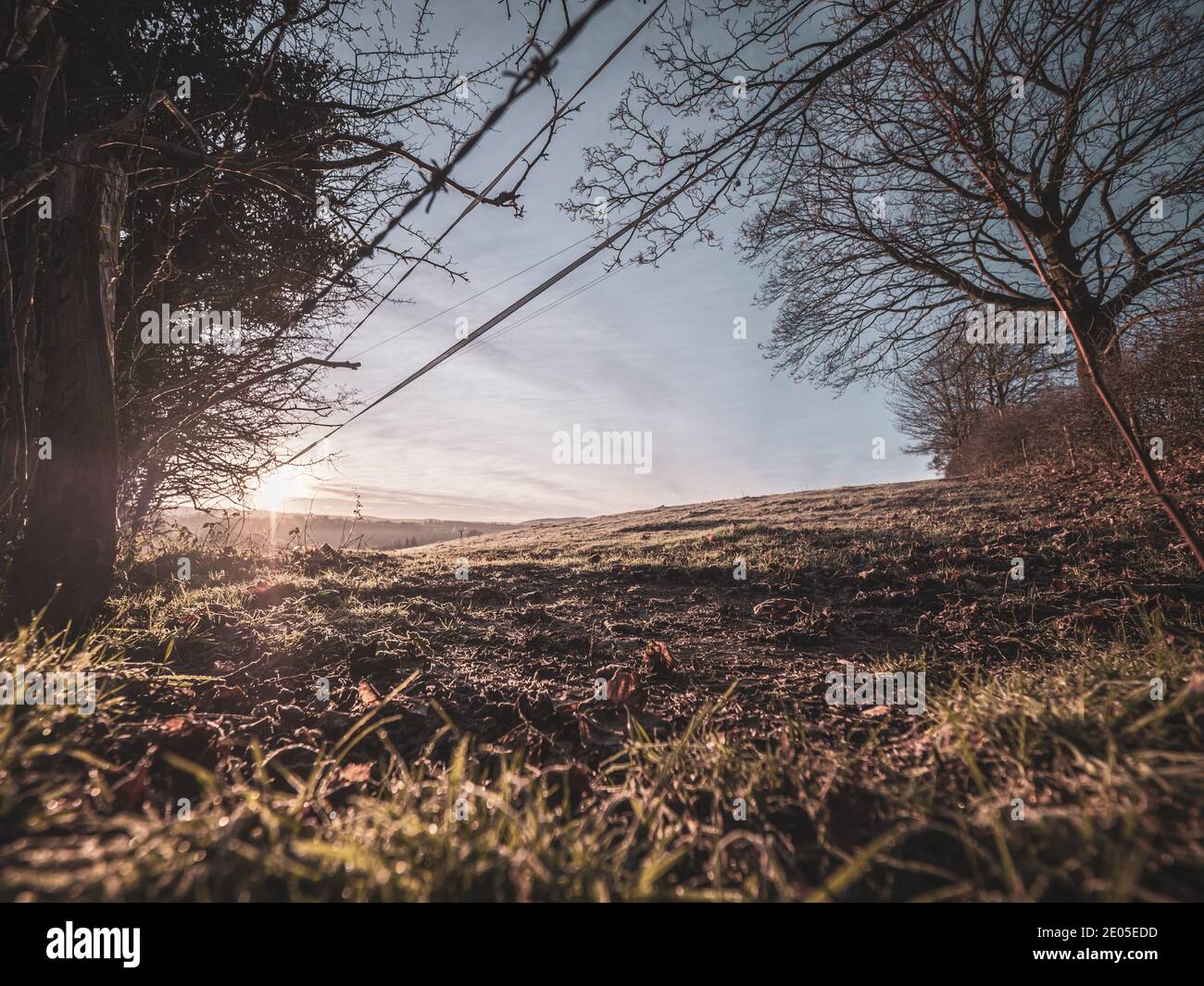 Un campo brumoso congelado al amanecer. Las capas de niebla se asientan sobre la planta baja a través de una vista clásica del campo británico al amanecer en invierno. Foto de stock