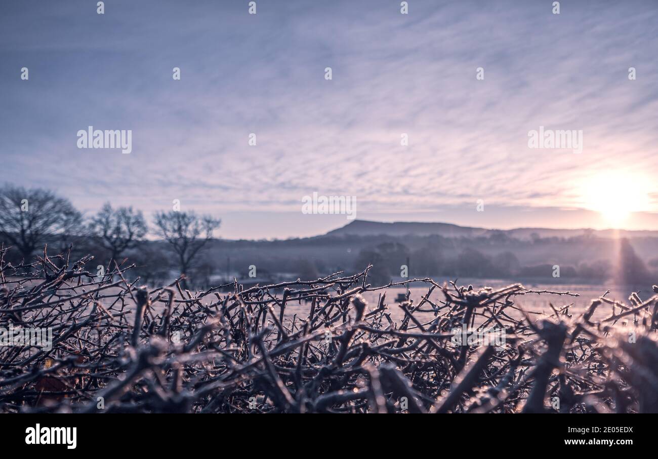 Un campo brumoso congelado al amanecer. Las capas de niebla se asientan sobre la planta baja a través de una vista clásica del campo británico al amanecer en invierno. Foto de stock