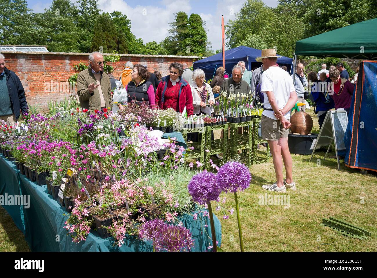 Evento benéfico de recaudación de fondos para la venta de plantas en Rowdeford Rowde Wiltshire, Inglaterra REINO UNIDO Foto de stock
