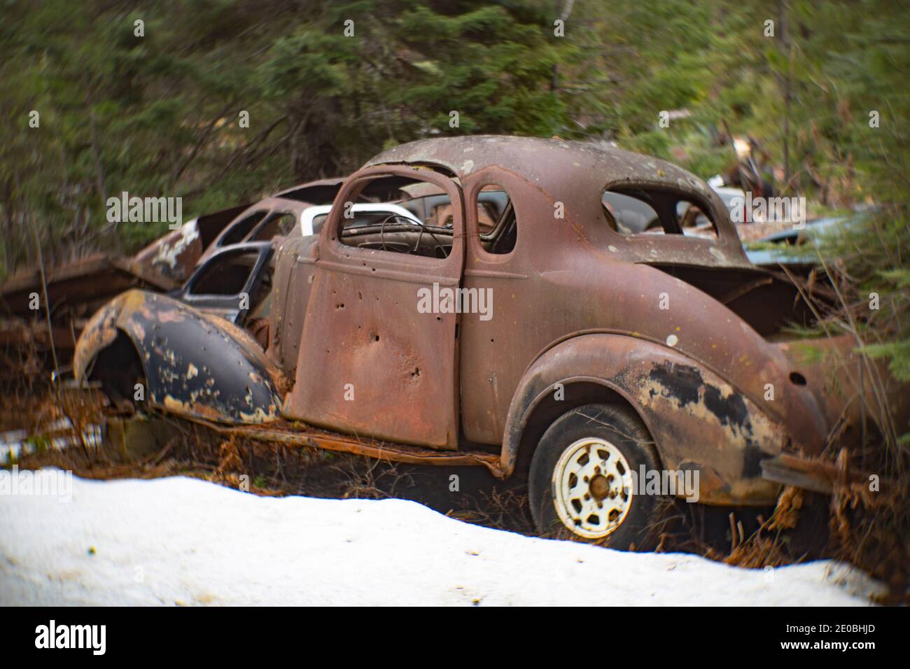 Un oxidado Chevrolet 1937 2 puertas Coupé, en una zona boscosa, en Noxon, Montana esta imagen fue tomada con una antigua lente Petzval y mostrará signos de dis Foto de stock