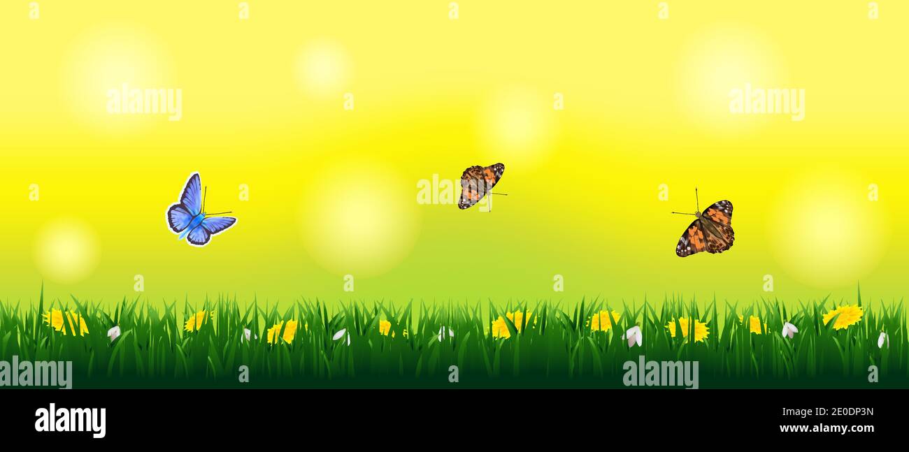 Paisaje soleado de primavera con mariposas con césped y flores.vida de insectos en el prado. Ilustración del Vector