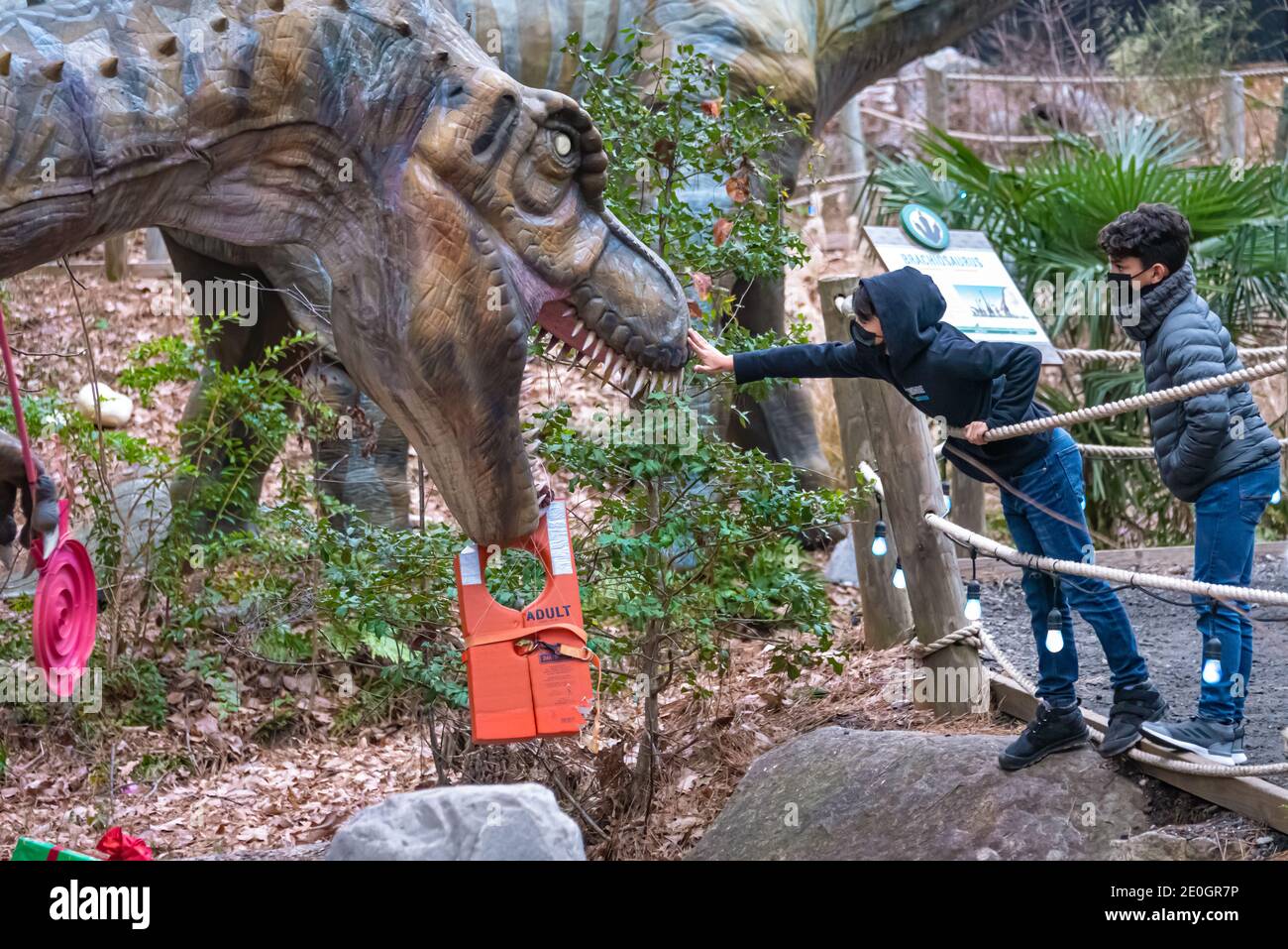 Niño curioso que se acerca para tocar un interactivo Tyrannosaurus rex de tamaño natural en la atracción Dinosaur Explore de Stone Mountain Park en Atlanta, Georgia. Foto de stock