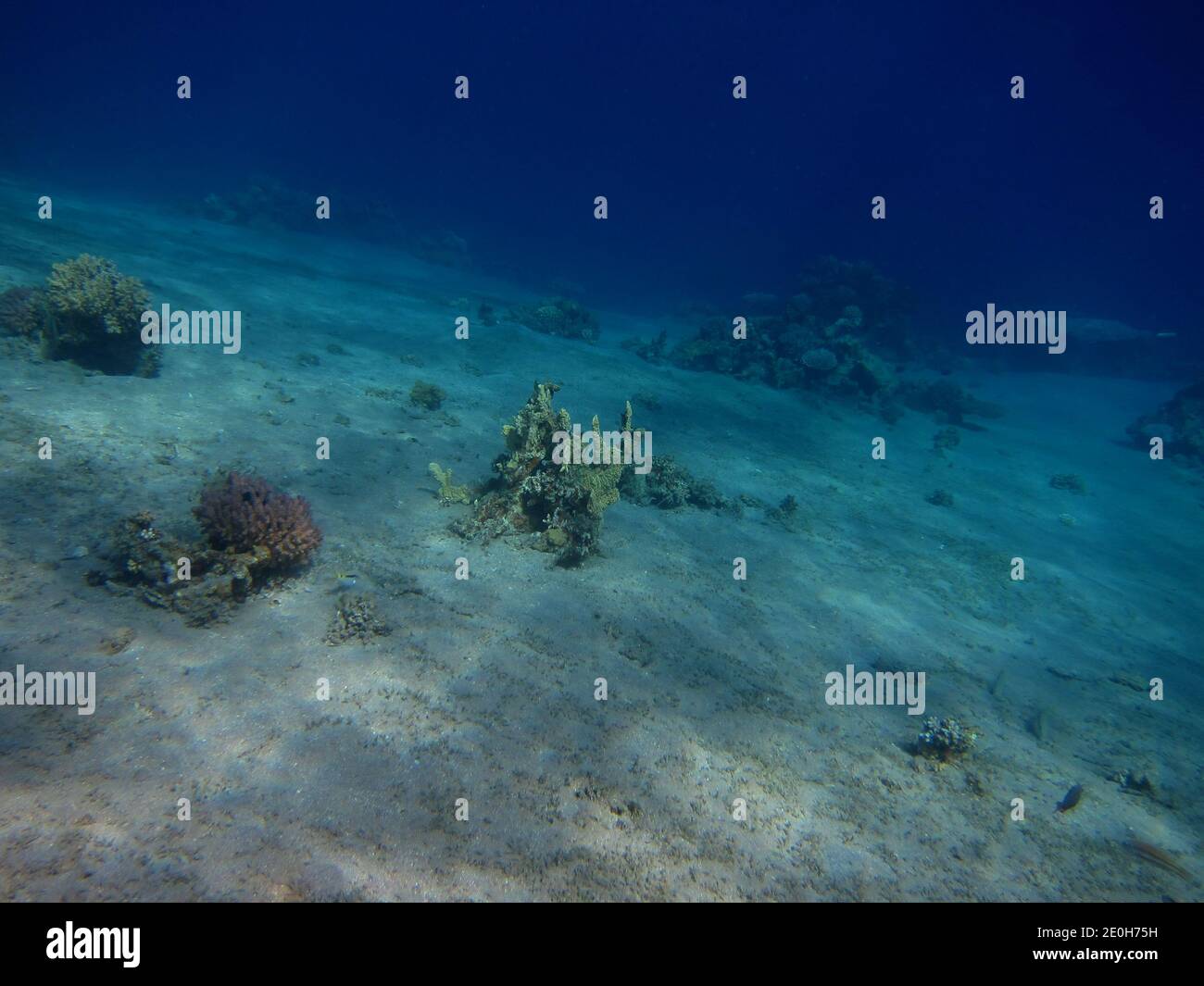 suave arena tierra buceo en el mar rojo Foto de stock