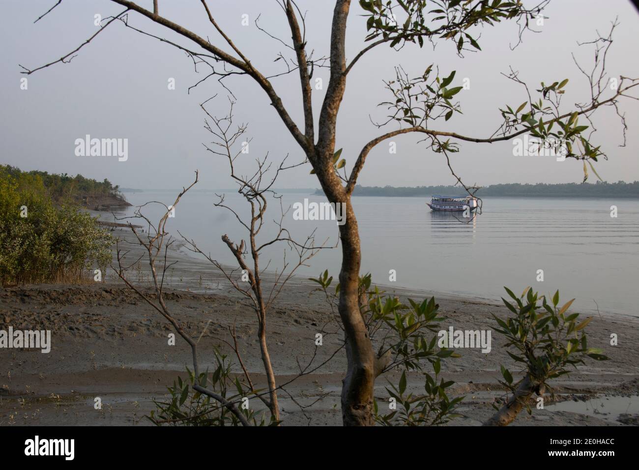 El Parque Nacional Sundarbans es un gran bosque de manglares costeros