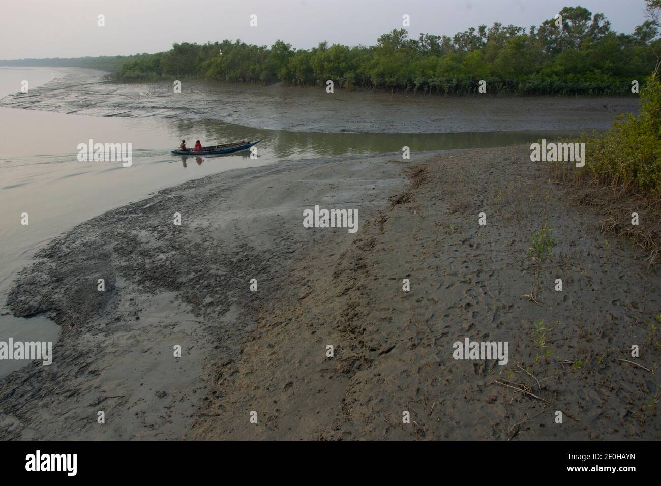 El Parque Nacional Sundarbans es un gran bosque de manglares costeros