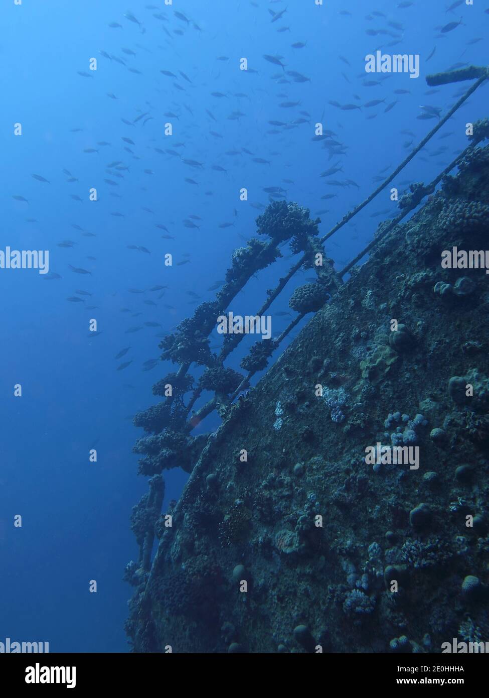 Reling, asolando "Giannis D.', Rotes Meer, Aegypten Foto de stock