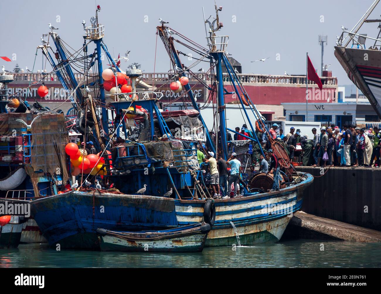 Un arrastrero de pesca llega al muelle para ser recibido por una gran multitud de personas en el concurrido puerto pesquero del Océano Atlántico de Essaouira en Marruecos. Foto de stock