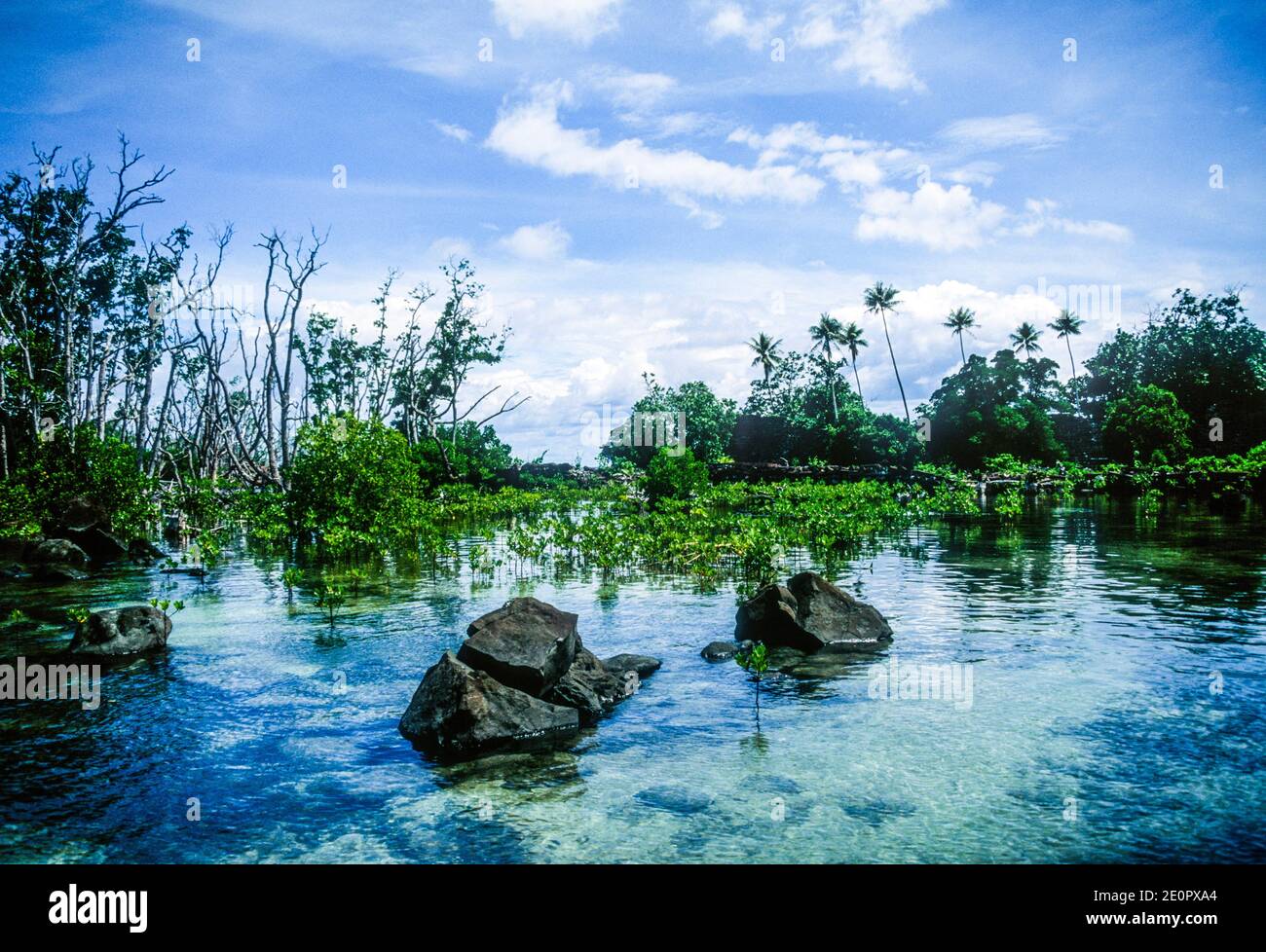 Laguna en Nan Madol: Centro ceremonial de Micronesia Oriental, Patrimonio de la Humanidad de la UNESCO, Isla Temwen, Pohnpei, Estados Federados de Micronesia. Foto de stock
