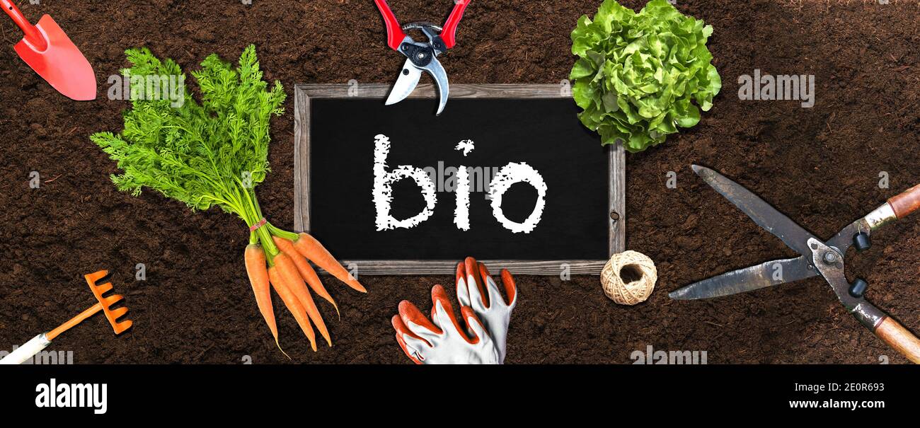 Jardín agrícola biologique, avec outils de jardinage légumes et titre Bio sur tableau noir Foto de stock