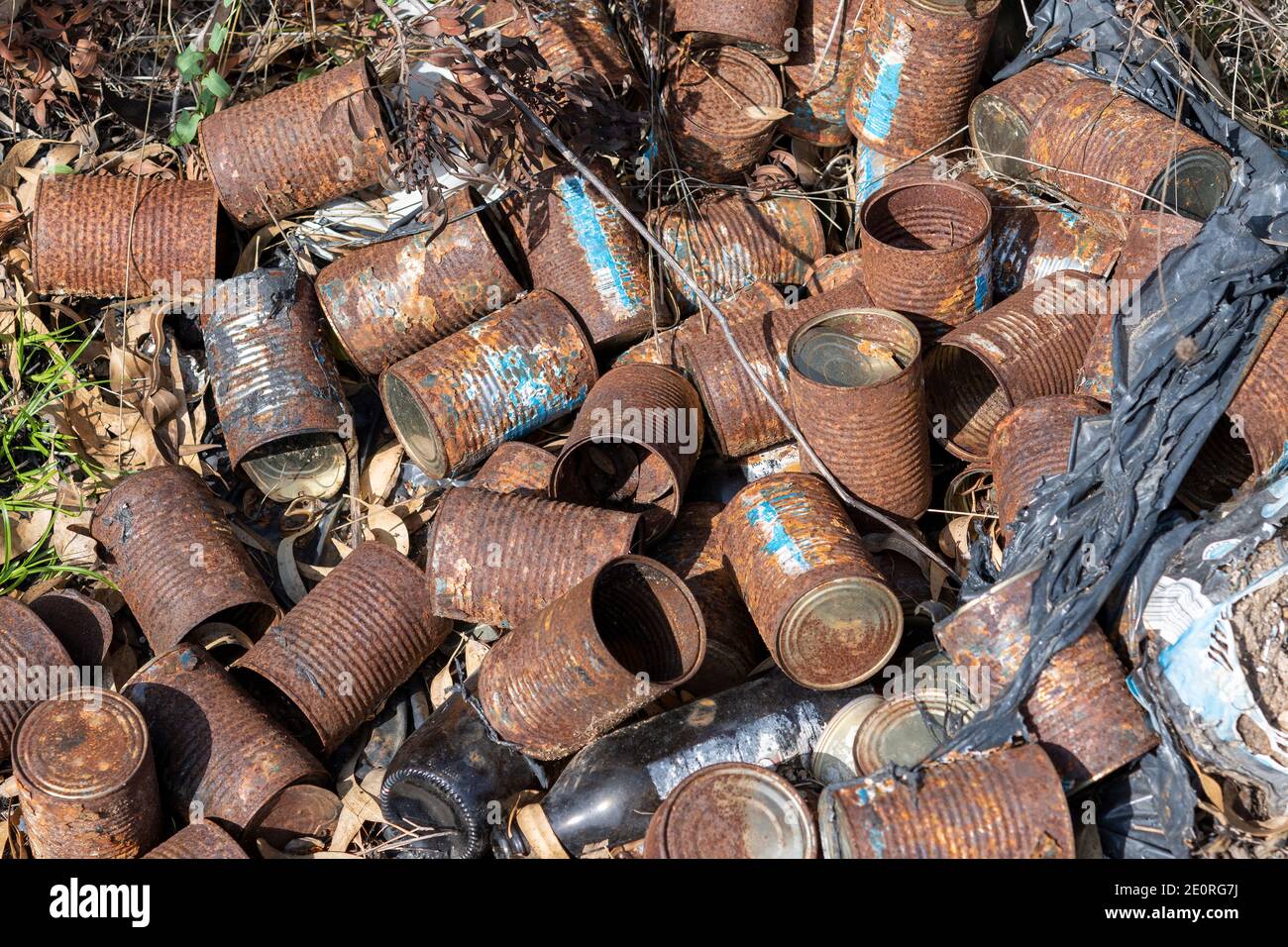 Viejas latas oxidadas yacen en el suelo y hierba seca en la naturaleza. Contaminación y medio ambiente. Foto de stock