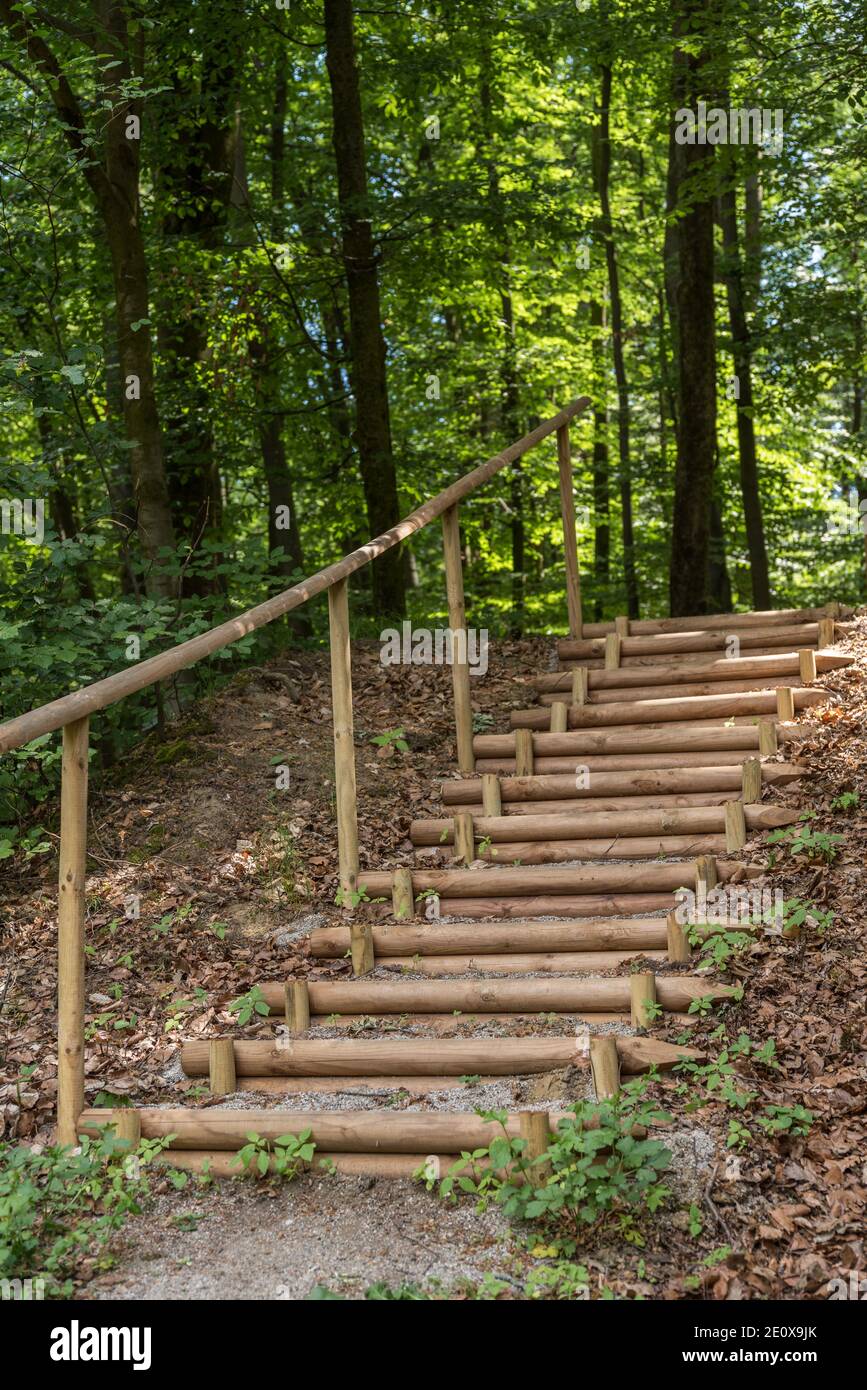 Escaleras de madera - Contáctenos al 4841 2332. Grupo Forestal