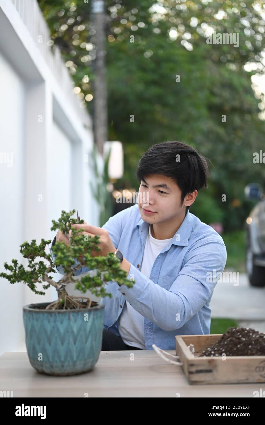 tengo sueño Hecho de Adulto Retrato de un hombre asiático está podando plantas de bonsai con tijeras de  poda en su jardín de casa Fotografía de stock - Alamy