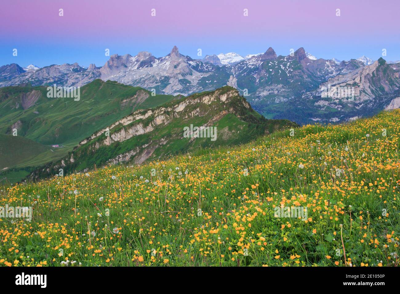 Alpes suizos con Chaiserstock, Fulen y Rossstock, Suiza, Europa Foto de stock