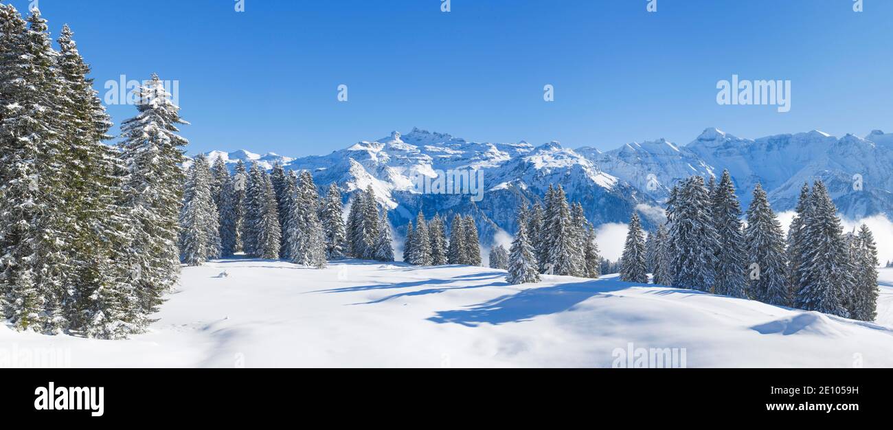 Freiberge Kärpf, Alpes Glarus, Suiza, Europa Foto de stock