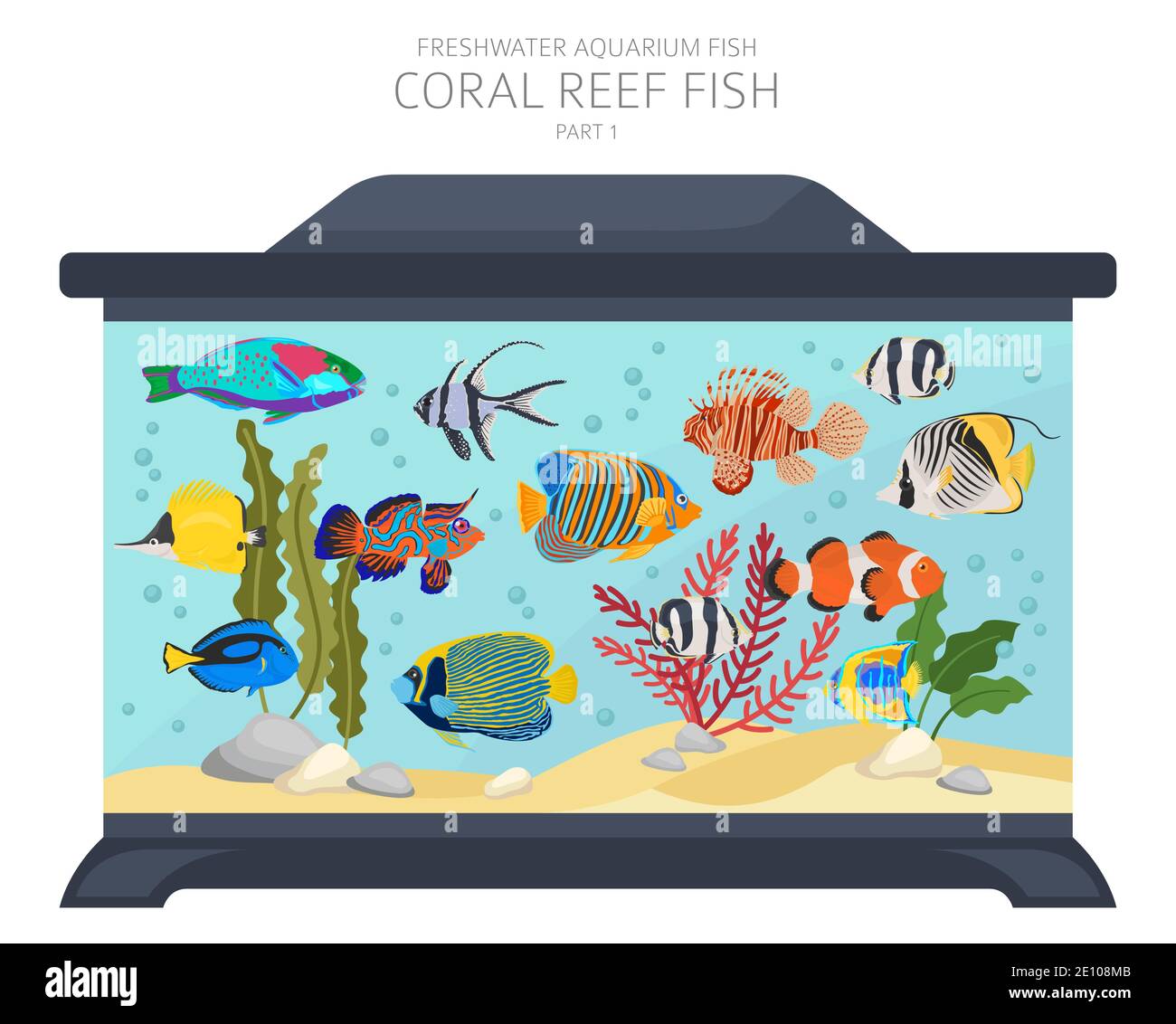 Peces de arrecife de coral. Acuario de agua dulce icono de peces conjunto de estilo plano aislado en blanco. Ilustración vectorial Ilustración del Vector
