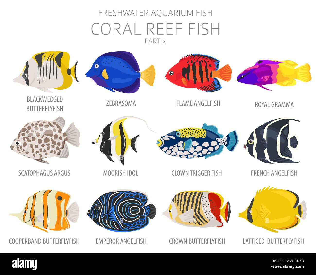 Peces de arrecife de coral. Acuario de agua dulce icono de peces conjunto de estilo plano aislado en blanco. Ilustración vectorial Ilustración del Vector