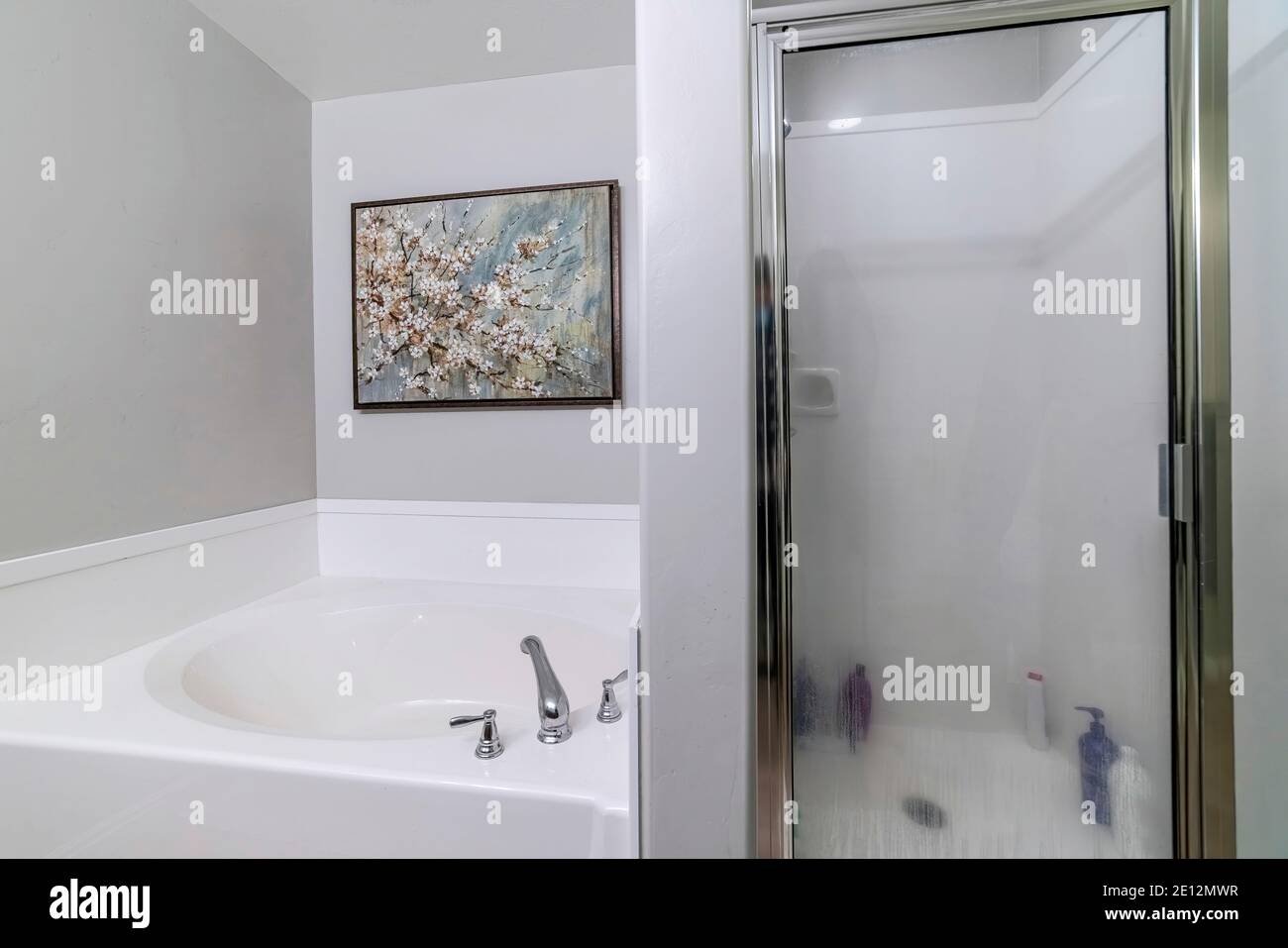 Bañera y cabina de ducha incorporada en el baño con flores pintura en la  pared Fotografía de stock - Alamy