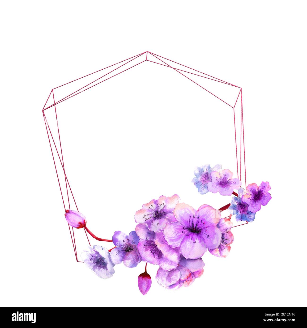 Flor de cereza, rama de flores de cereza con flores lilas brillantes en un  marco geométrico sobre un fondo blanco aislado. Imagen de primavera.  Acuarela Fotografía de stock - Alamy