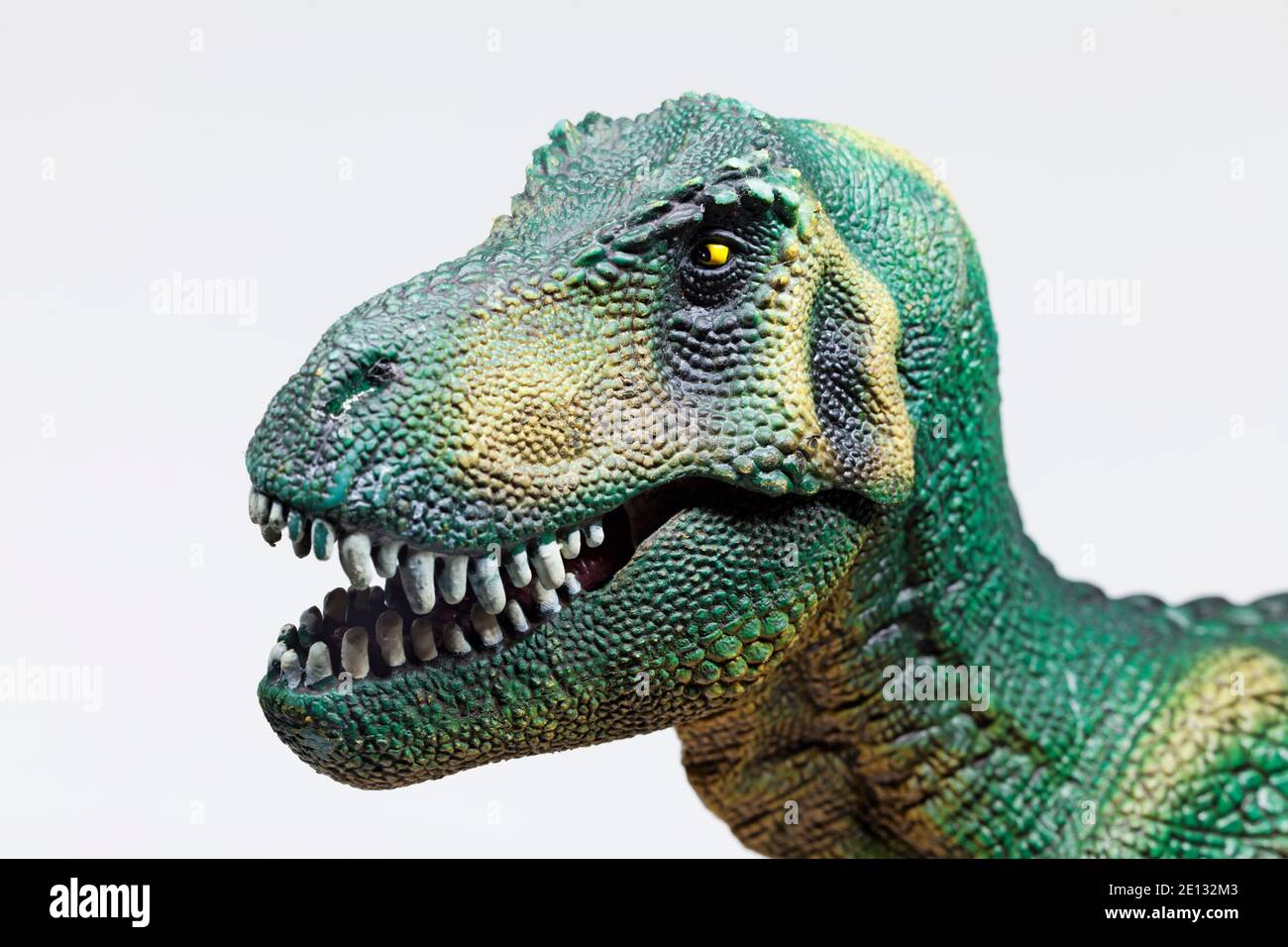 la cabeza de un dinosaurio de juguete sobre fondo blanco Fotografía de stock - Alamy la cabeza de un dinosaurio de juguete sobre fondo blanco Fotografía de stock - Alamy