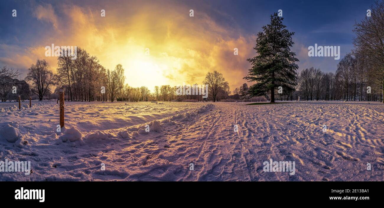 Vista panorámica de la puesta de sol sobre cubierto en el parque de nieve con gran abeto en invierno Foto de stock