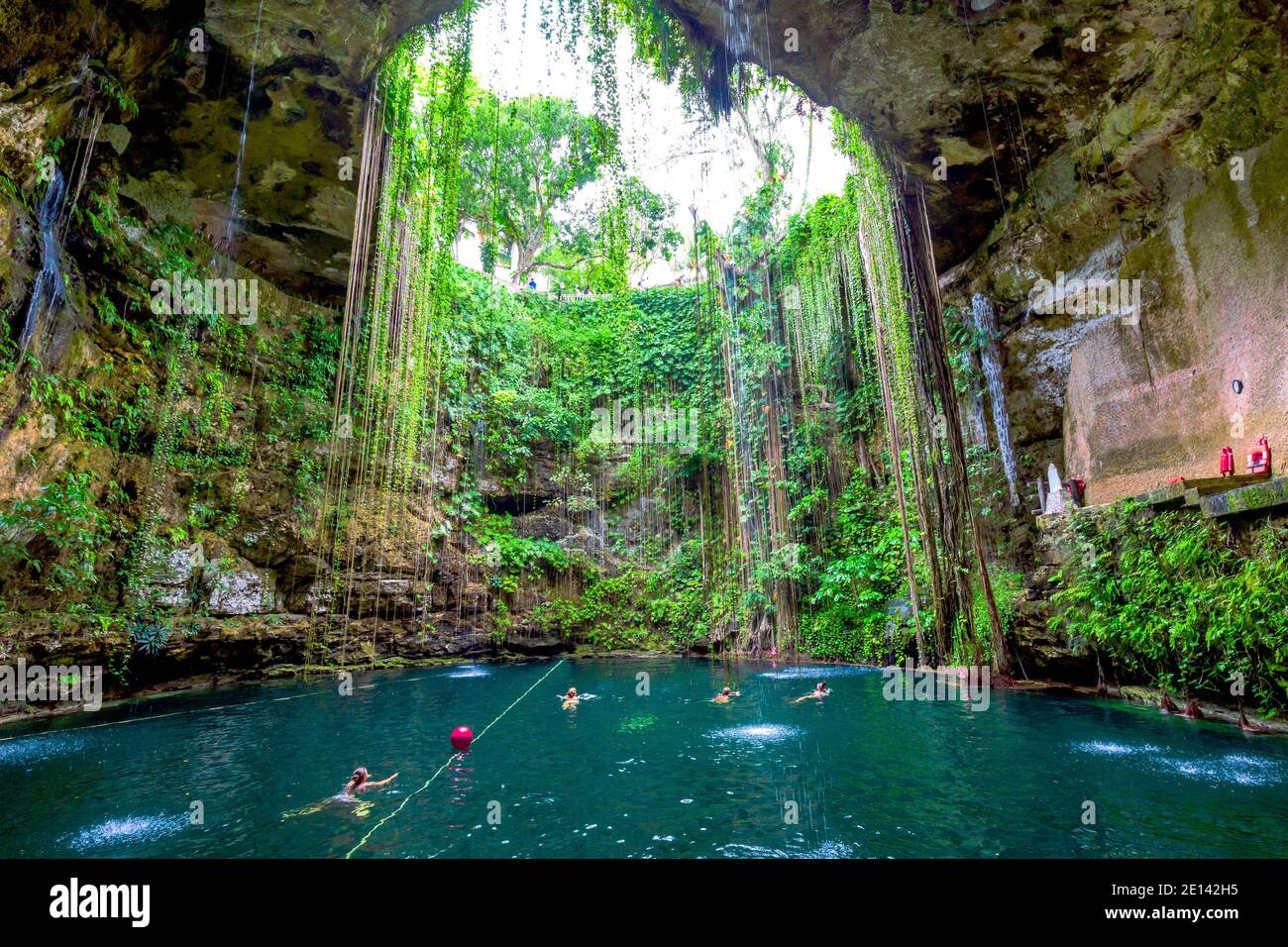 Chichen Itza, México. Cenote Ik Kil, pozo natural. Península de Yucatán Fotografía de stock Alamy