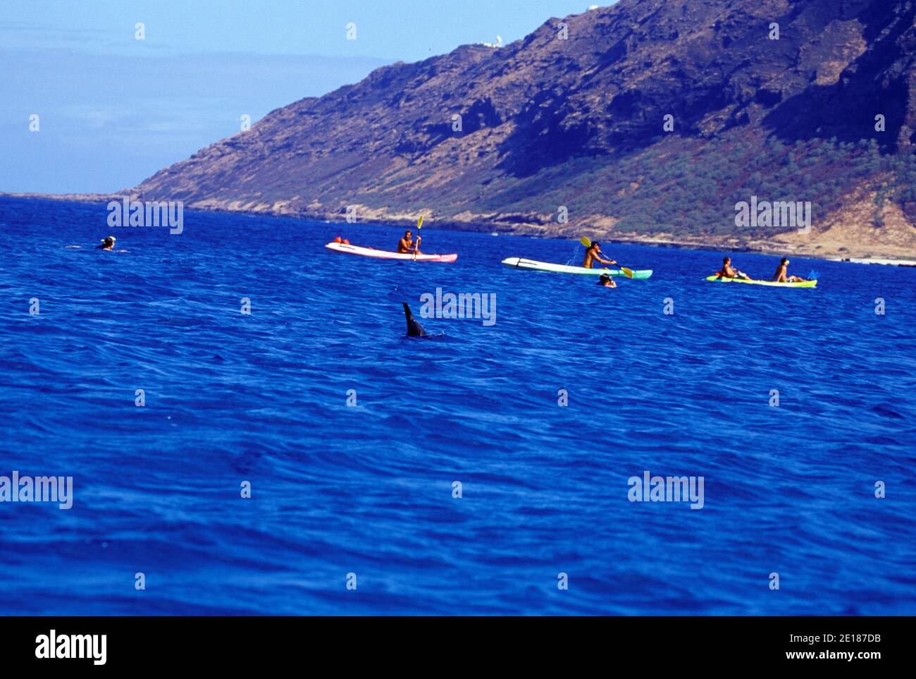 People dolphin watching by boat and kayak off Makua beach, Oahu, Hawaii Foto de stock
