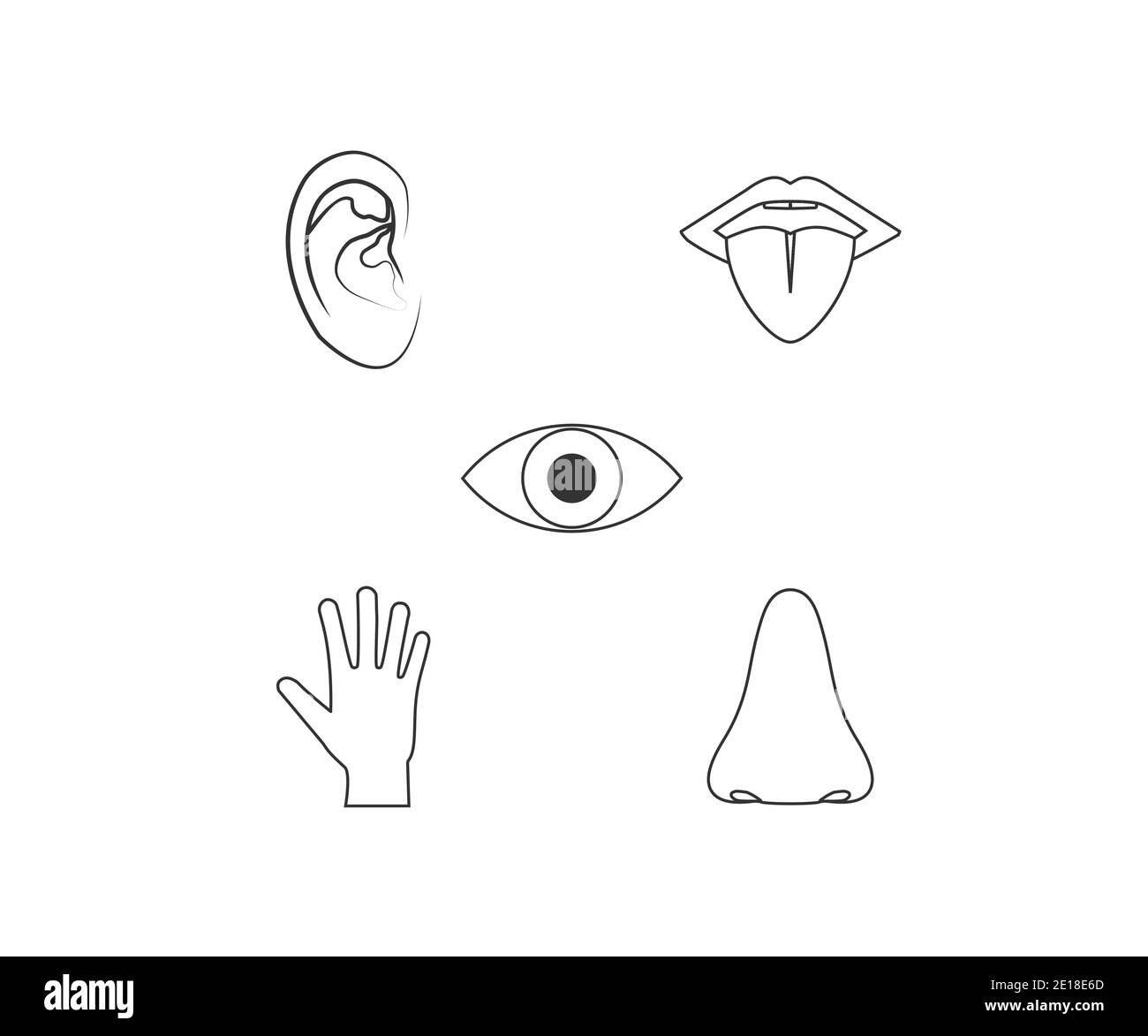 Sentidos ojo oreja nariz mano Imágenes recortadas de stock - Alamy