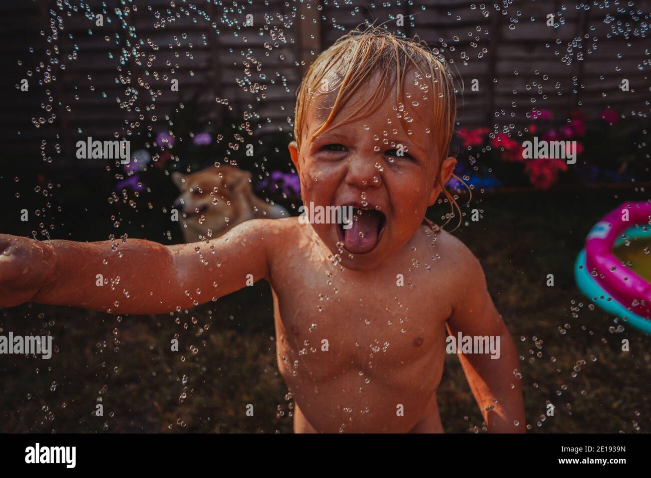 Niño jugando con un rociador en el jardín Foto de stock