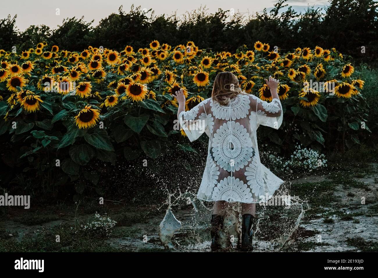 Mujer morena en Sunflower Field, Reino Unido Foto de stock