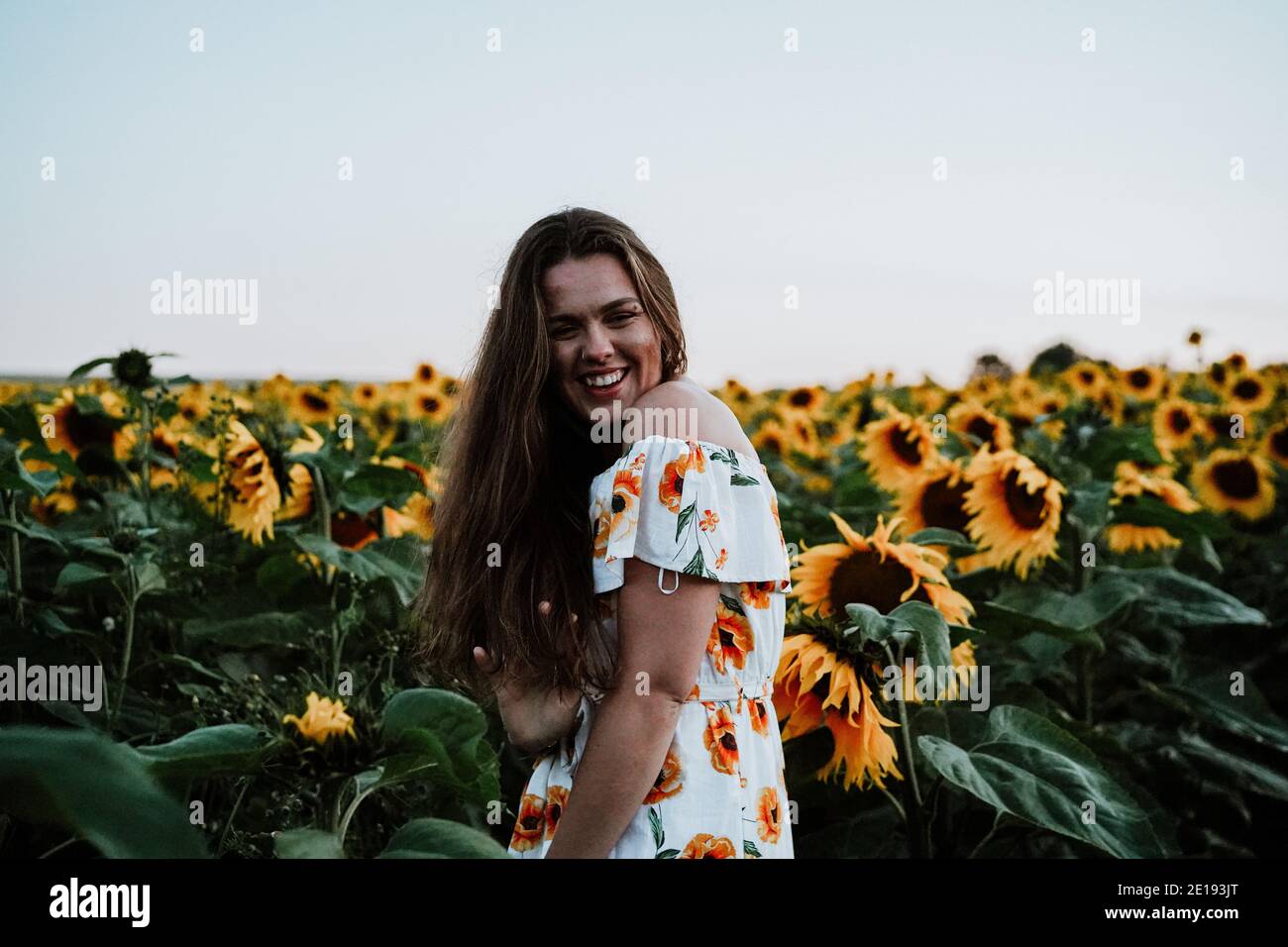 Mujer morena en Sunflower Field, Reino Unido Foto de stock
