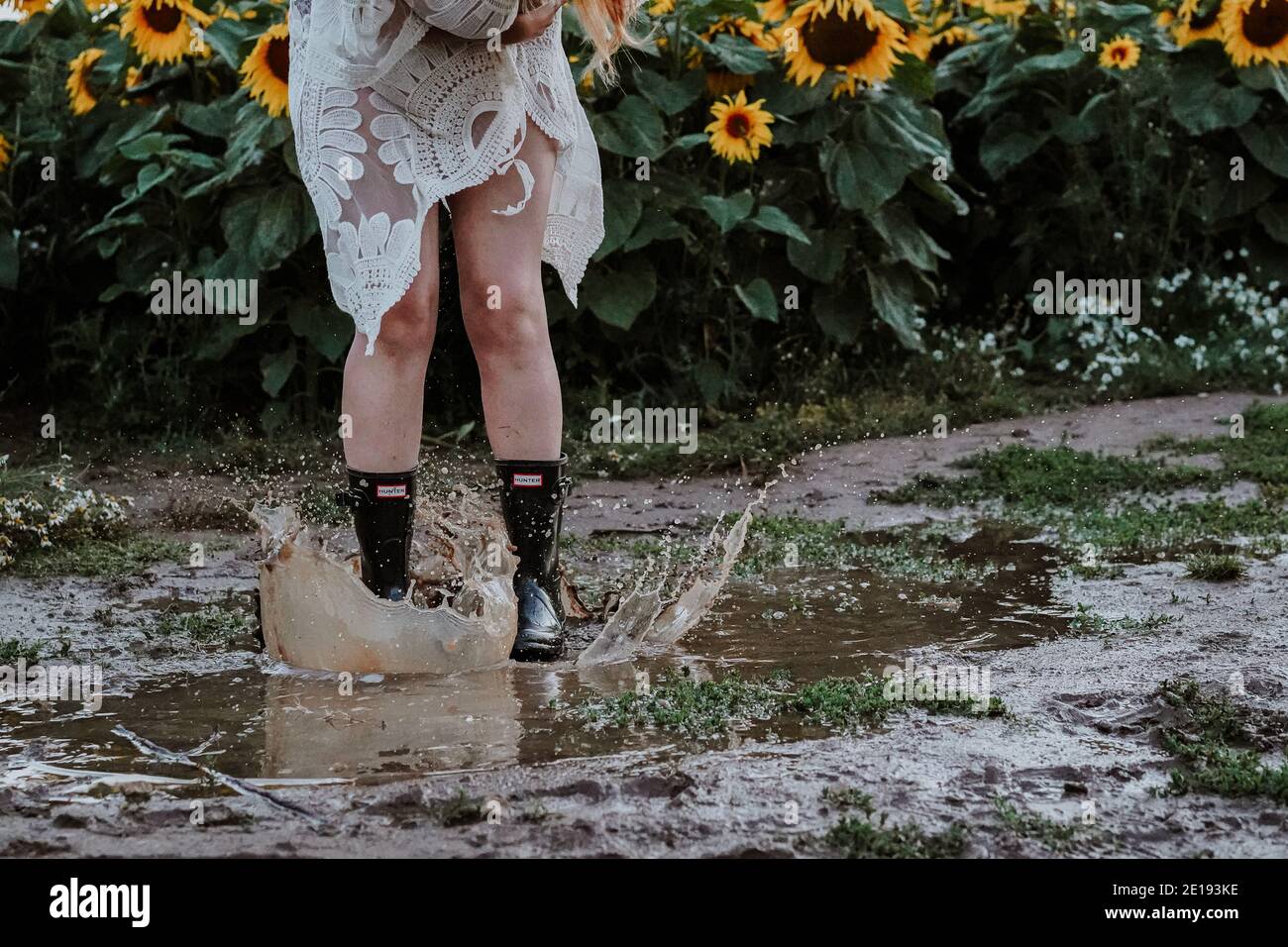 Mujer morena en Sunflower Field, Reino Unido Foto de stock