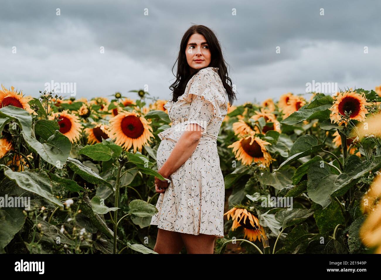 Mujer embarazada Brunette en Sunflower field, Reino Unido Foto de stock