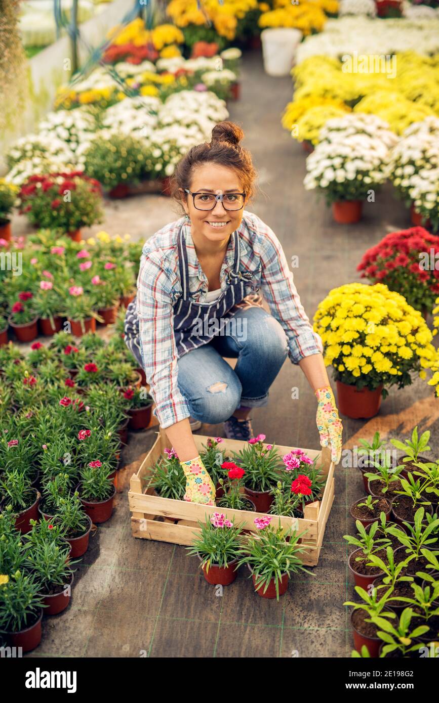Trabajadora sonriente lindo floristería trabajadora agachándose y poniendo  flores y potes en la caja de madera mientras mira la cámara Fotografía de  stock - Alamy