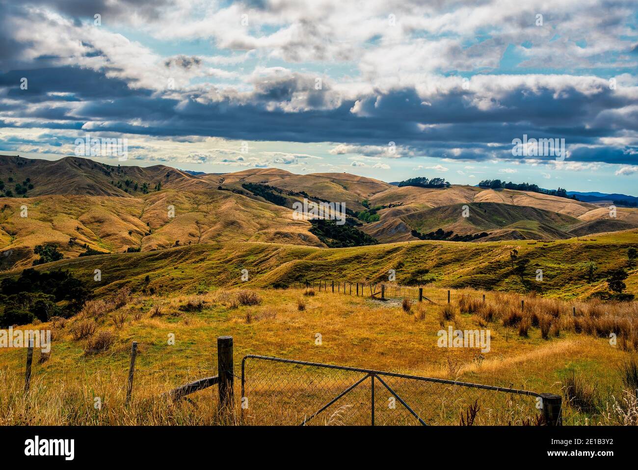 Campo agrícola rural en las colinas secas y onduladas cercanas La Costa Tora en el Wairarapa Foto de stock