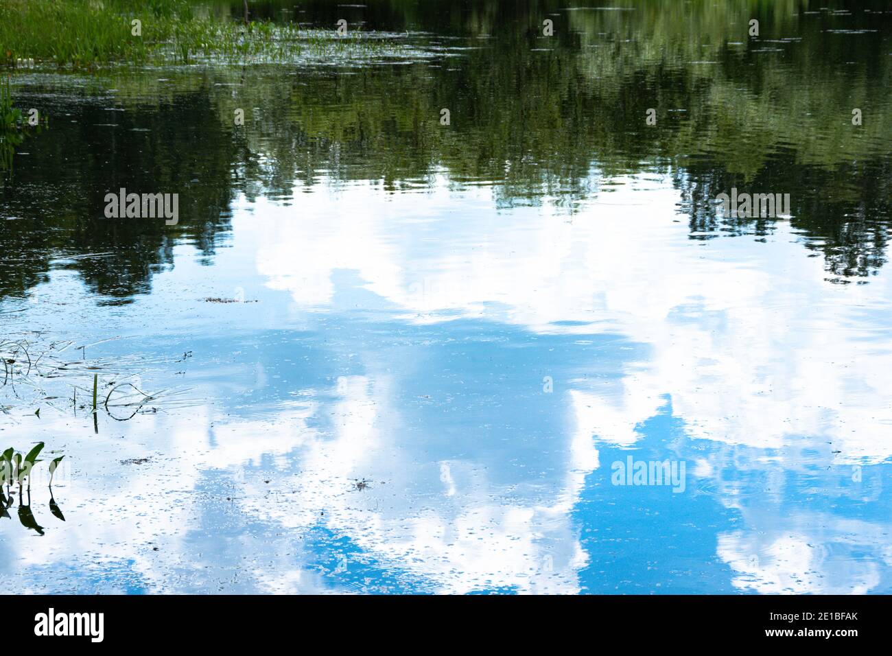 Reflejo de árboles verdes y cielo azul con nubes en espejo de la superficie del lago Foto de stock