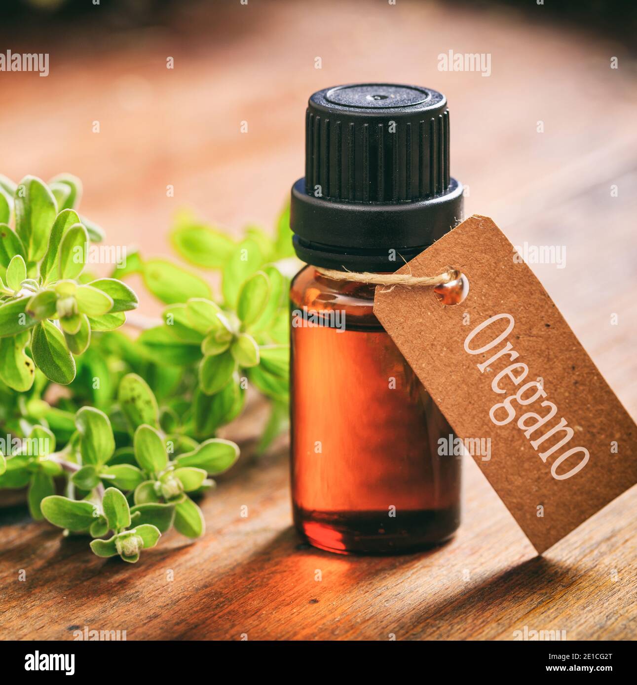 Hojas de plantas de orégano fresco y aceite esencial sobre fondo de madera. Origanum vulgare también llamado marjoram salvaje es una hierba culinaria, utilizada para cocinar Foto de stock