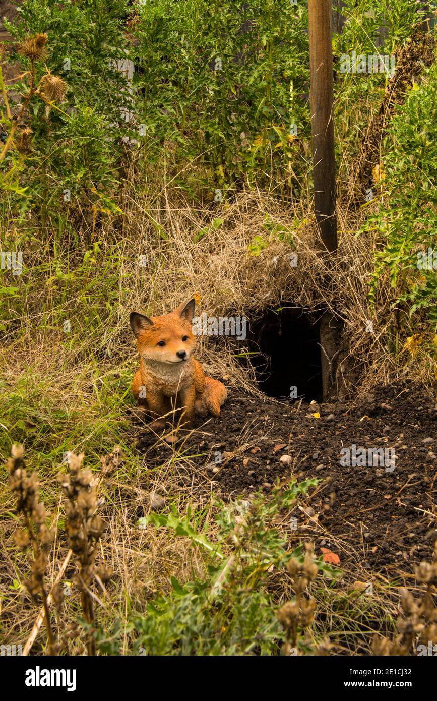 Fox den fotografías e imágenes de alta resolución Alamy