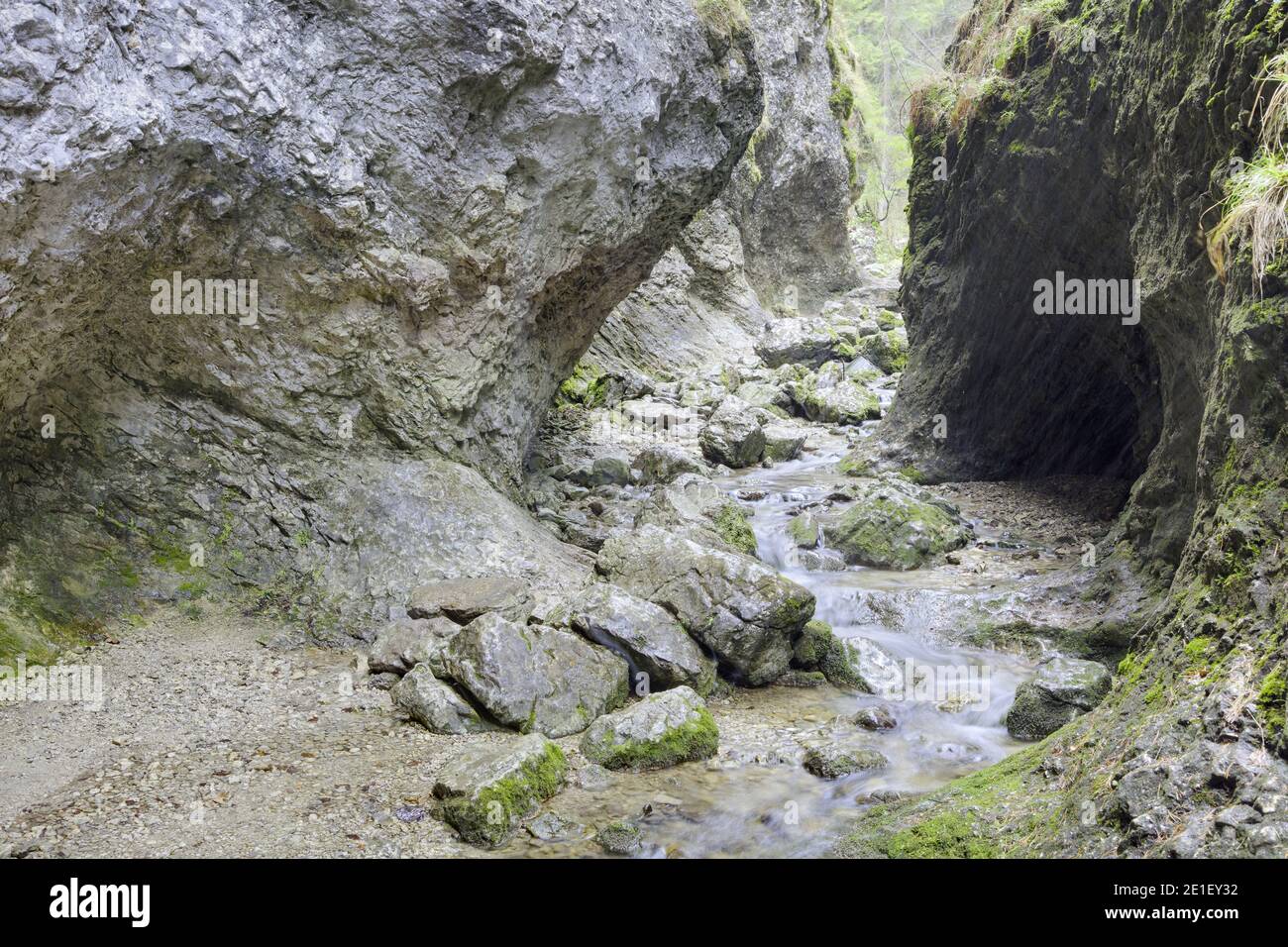 Formaciones de piedra en el Cañón de Janosik (Diery de Janosikove) cerca de Terchova, Eslovaquia Foto de stock